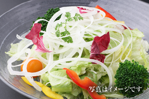 野菜サラダ写真