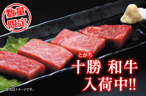 エゾ鹿肉