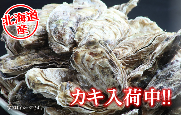 北海道産　カキ入荷中