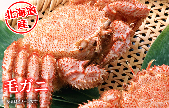 えりも直送浜ゆで毛ガニ