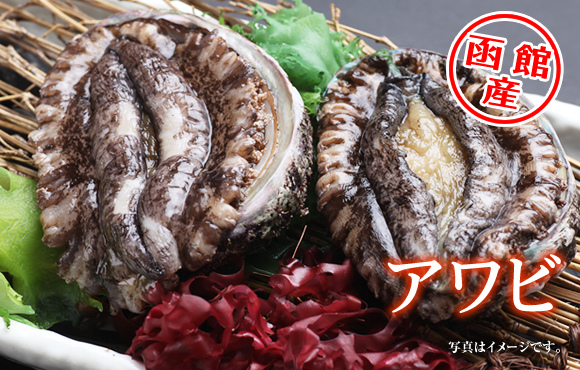 函館産　アワビ入荷中！