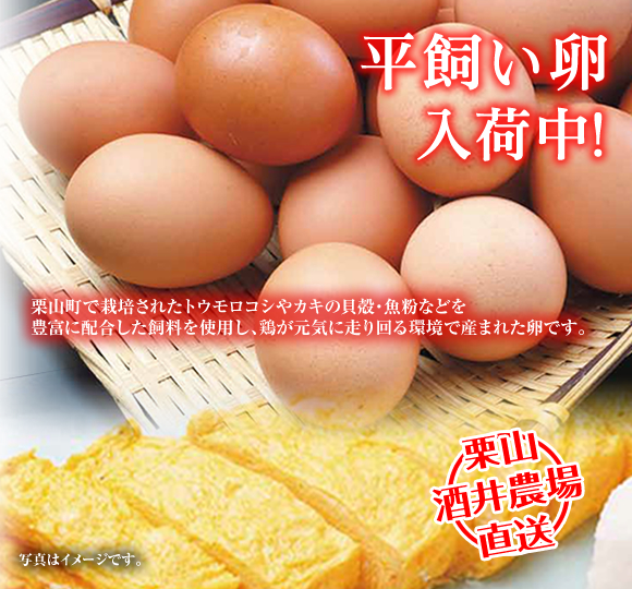平飼い卵