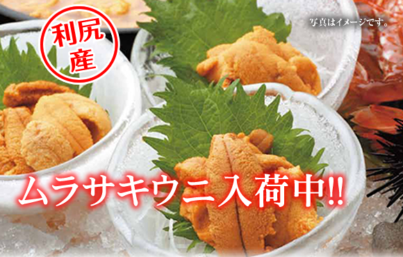 函館直送　真イカ入荷中！